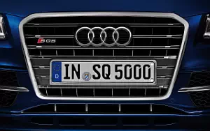   Audi SQ5 TDI - 2012