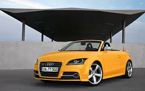   Audi TTS Roadster Competition - 2013