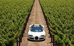   Bugatti Veyron Grand Sport Roadster US-spec - 2009