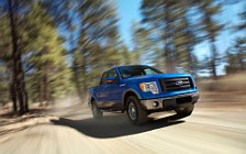   Ford F-150 FX4 - 2009