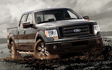   Ford F150 - 2010