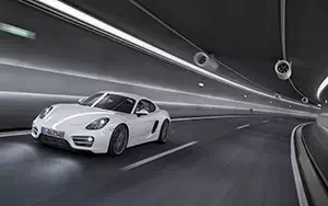   Porsche Cayman - 2013