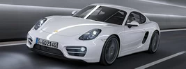 Porsche Cayman - 2013