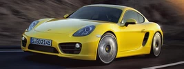 Porsche Cayman S - 2013
