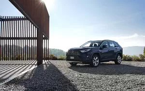   Toyota RAV4 Hybrid - 2019