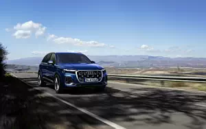   Audi Q7 55 TFSI quattro S line - 2024