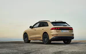   Audi Q8 55 TFSI quattro S line - 2023