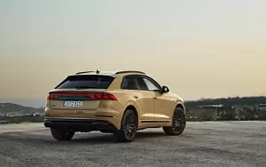   Audi Q8 55 TFSI quattro S line - 2023