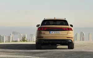   Audi Q8 55 TFSI quattro S line - 2023