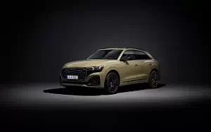   Audi Q8 55 TFSI quattro S line - 2023