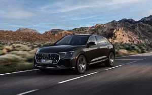   Audi Q8 55 TFSI e quattro - 2024