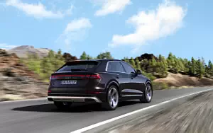   Audi Q8 55 TFSI e quattro - 2024