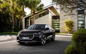  Audi Q8 55 TFSI e quattro - 2024