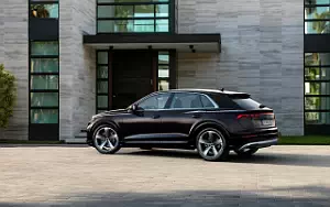  Audi Q8 55 TFSI e quattro - 2024