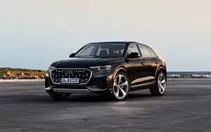  Audi Q8 55 TFSI e quattro - 2024