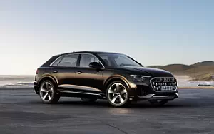   Audi Q8 55 TFSI e quattro - 2024