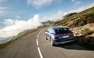   Audi SQ8 TDI - 2019