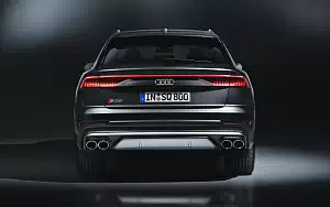   Audi SQ8 TDI - 2019