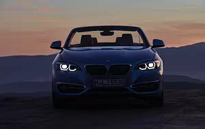   BMW 230i Convertible Luxury Line - 2017