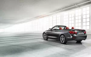   BMW 435i Convertible Sport Line - 2013