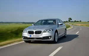   BMW 530d Luxury Line - 2013