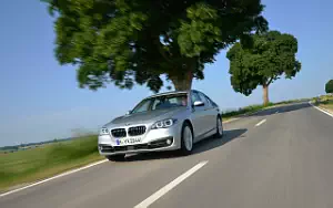   BMW 530d Luxury Line - 2013