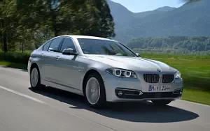   BMW 530d Luxury Line - 2013