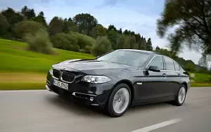   BMW 518d Luxury Line - 2014