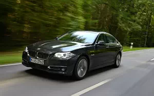   BMW 518d Luxury Line - 2014