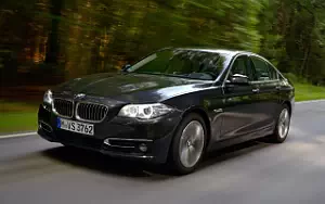   BMW 518d Luxury Line - 2014