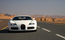   Bugatti Veyron White - 2008