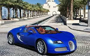   Bugatti Veyron Grand Sport Roadster - 2011