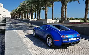   Bugatti Veyron Grand Sport Roadster - 2011