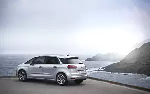   Citroen C4 Picasso - 2013