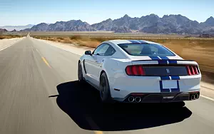   Shelby GT350 Mustang - 2015