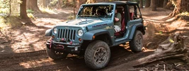 Jeep Wrangler Rubicon 10th Anniversary Edition - 2013