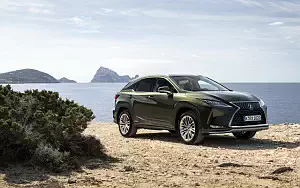   Lexus RX 450h (TerraneKhaki) - 2019