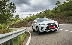   Lexus RX 450h (White) - 2019