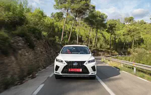   Lexus RX 450h (White) - 2019