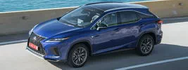 Lexus RX 300 (Blue) - 2019