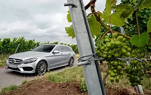   Mercedes-Benz C250 Estate AMG Line - 2014