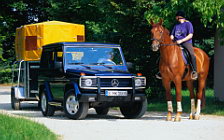   Mercedes-Benz G300 Turbodiesel - 2000