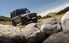   Mercedes-Benz G-class Professional - 2012