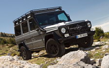   Mercedes-Benz G-class Professional - 2012