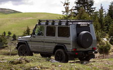   Mercedes-Benz G-class Professional - 2012