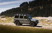   Mercedes-Benz G-class Professional - 2012