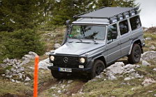   Mercedes-Benz G-class Professional - 2012