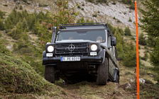   Mercedes-Benz G-class Professional - 2012