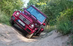   Mercedes-Benz G 500 - 2009