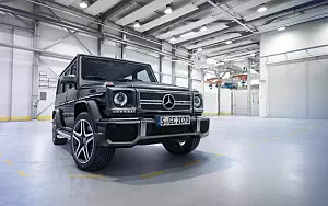   Mercedes-AMG G65 - 2015